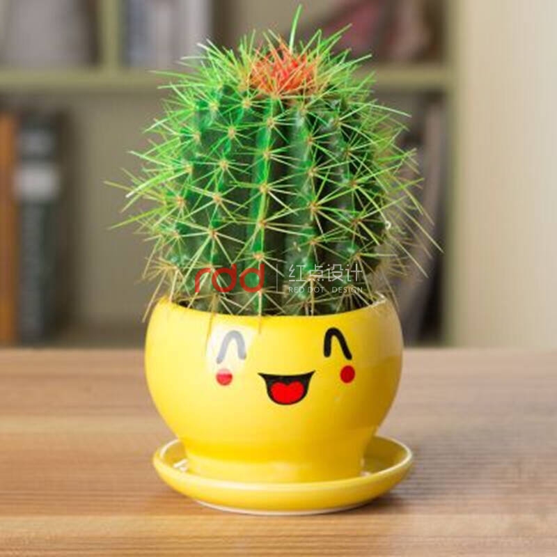 廣州辦公室裝飾品四大風(fēng)水注意事項(xiàng)-2.jpg 廣州辦公室裝飾品四大風(fēng)水注意事項(xiàng)-2.jpg