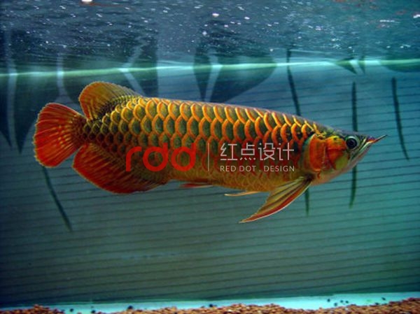 5ee8c37cg95eb5d2cbdaa&690.jpg 5ee8c37cg95eb5d2cbdaa&690.jpg