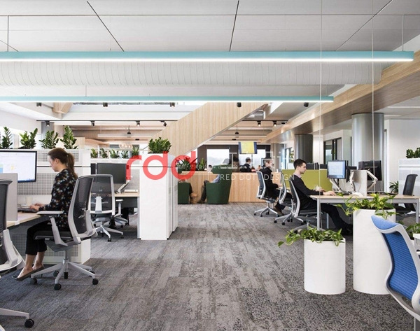 timg (1).jpg timg (1).jpg